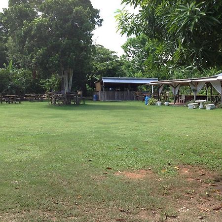 Chillax On Our Farm Hostal Ocho Ríos Exterior foto