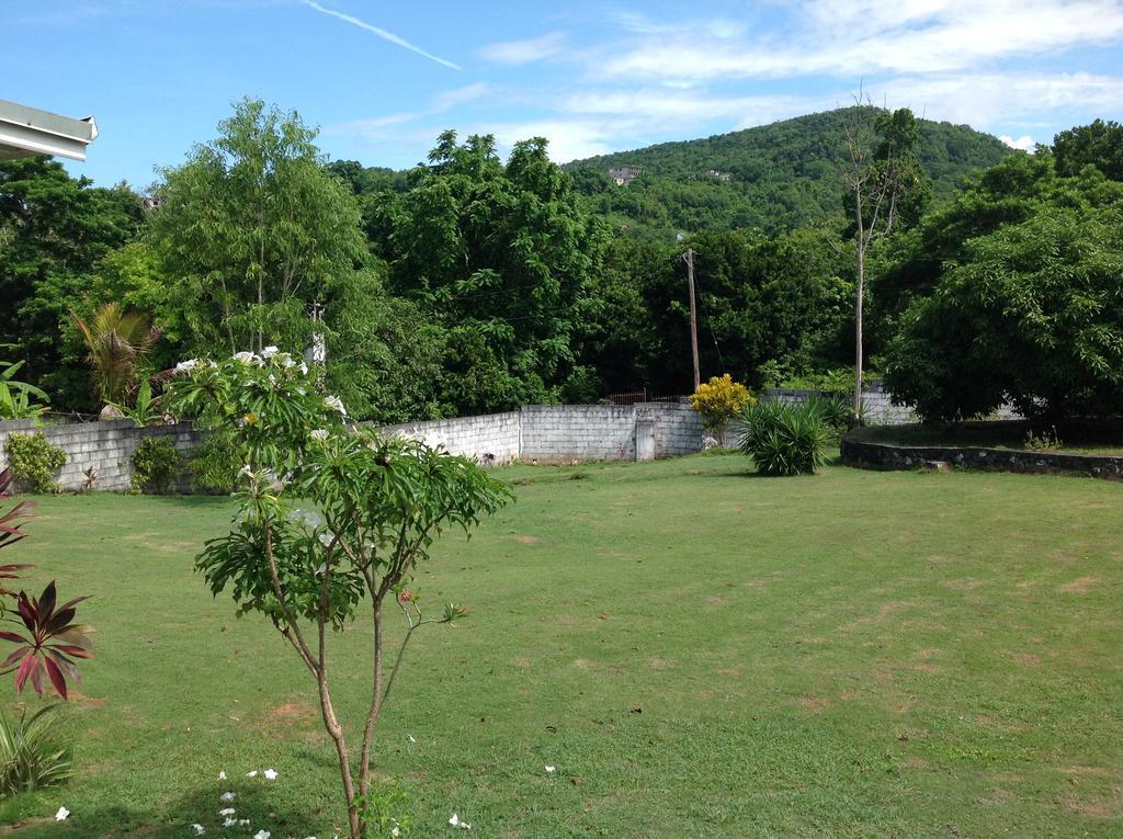 Chillax On Our Farm Hostal Ocho Ríos Exterior foto